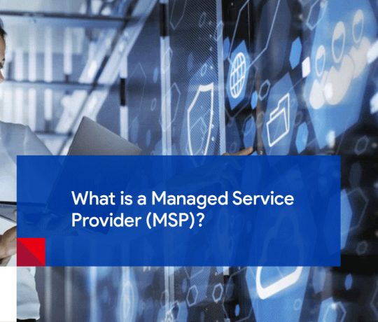 Managed Service Provider (MSP)