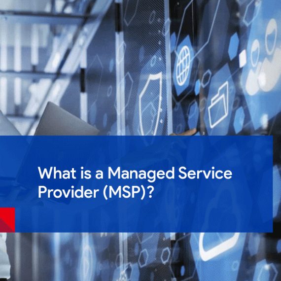 Managed Service Provider (MSP)