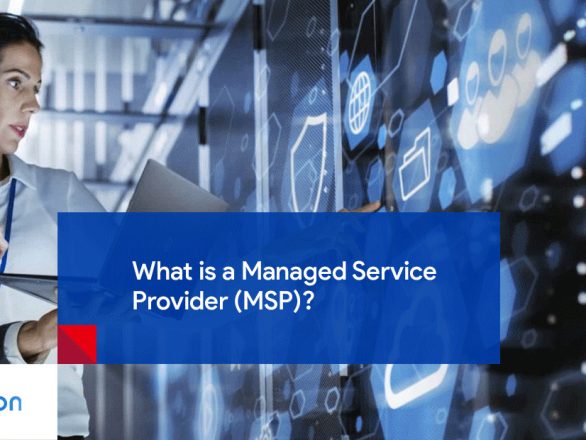 Managed Service Provider (MSP)