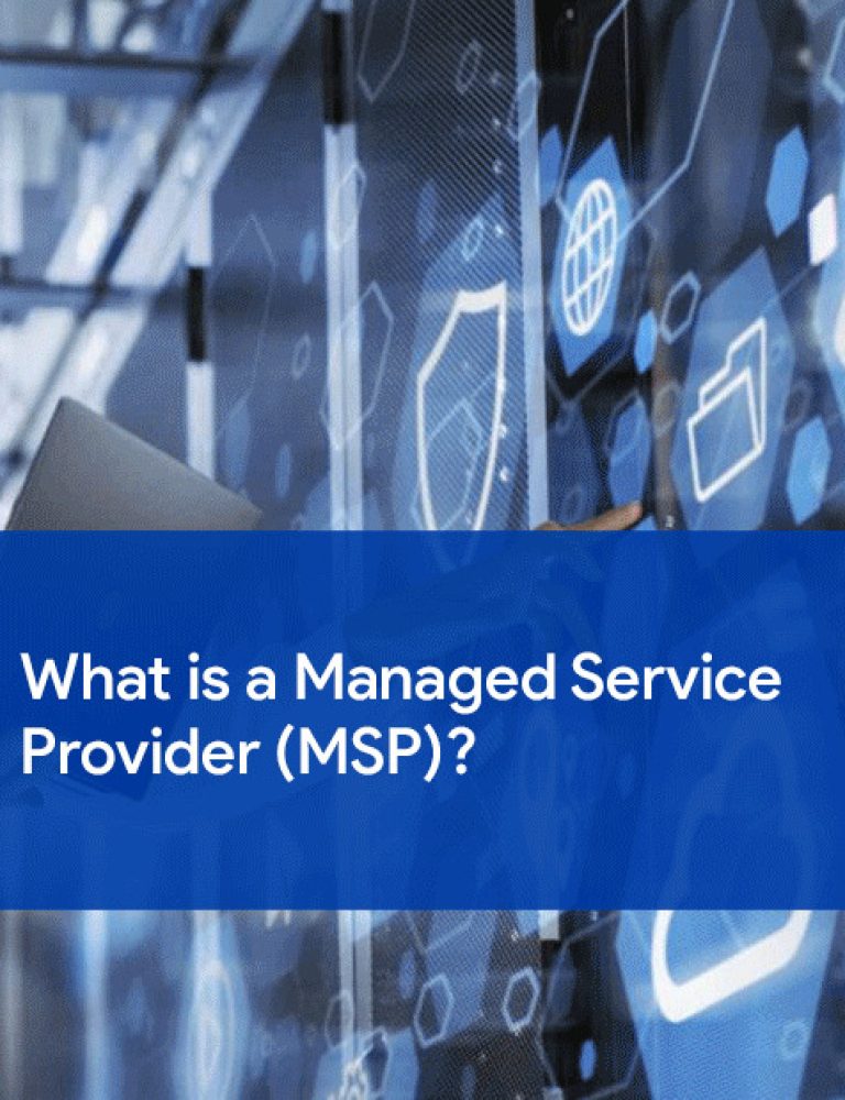 Managed Service Provider (MSP)