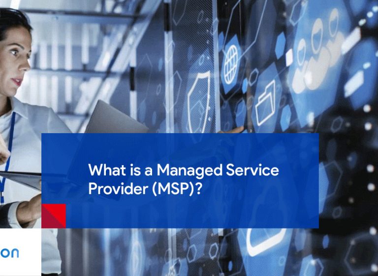 Managed Service Provider (MSP)