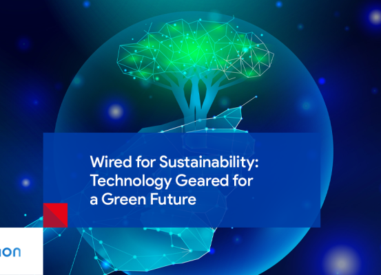 Sustainability for Business and Tecnology: Wired for a Green Future