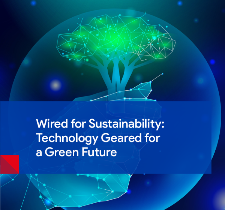 Sustainability for Business and Tecnology: Wired for a Green Future